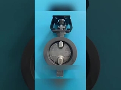 モーターバタフライバルとは