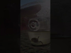 50mm 400mm 300mm カーボンステール フレンズ式換気バタフライバル